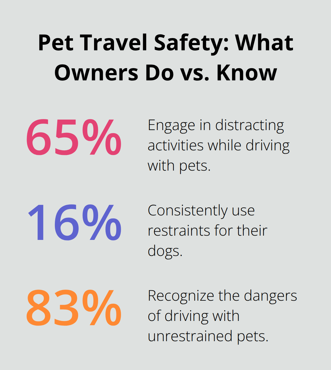 Three-part percentage chart contrasting driver distractions, restraint use, and risk awareness among U.S. dog owners.
