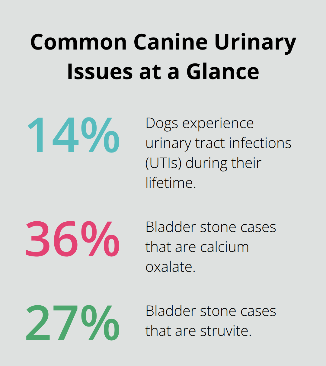 Percentage breakdown of prevalent urinary issues in dogs