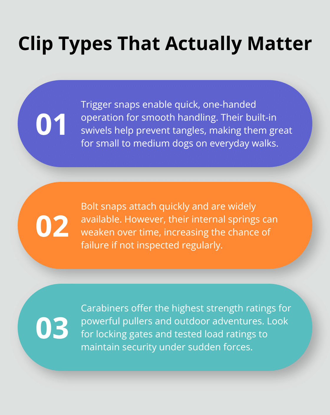 Three core dog leash clip types and when to use each - dog leash safety clip