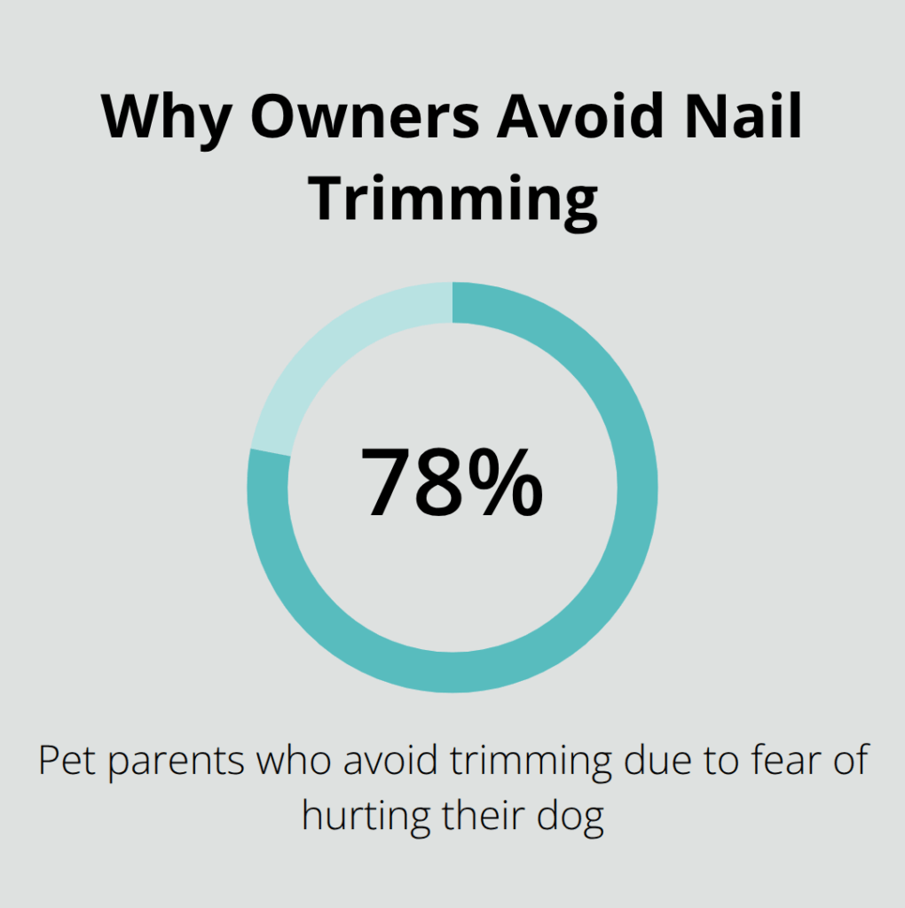 dog nail care infographic 1 1764194836