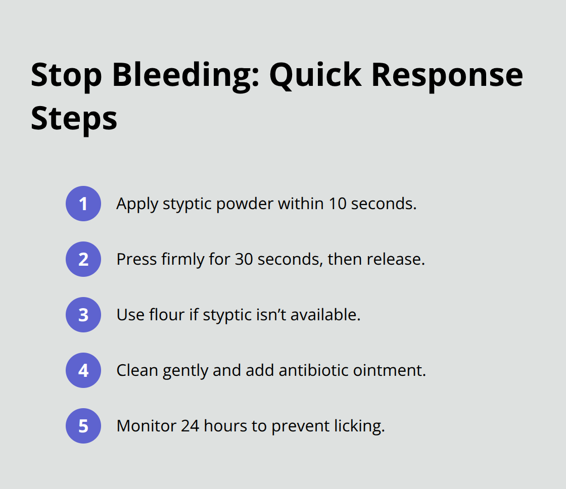 Five quick steps to stop a bleeding dog nail safely
