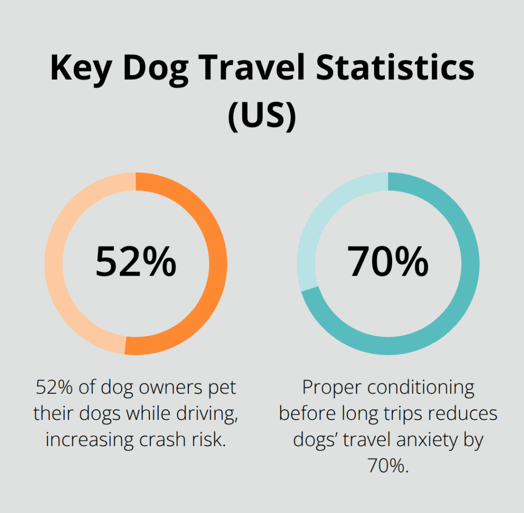 dog safety car travel infographic 1 1763330839