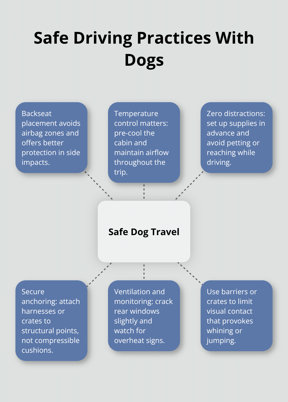 Hub-and-spoke diagram of core safe driving practices for dogs. - dog safety car travel