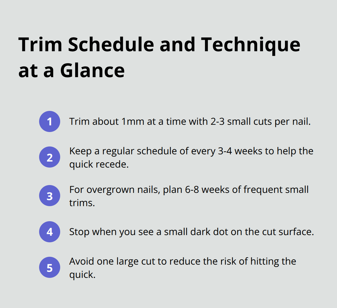 Quick-reference list for safe, gradual dog nail trimming - dog safety nail clippers