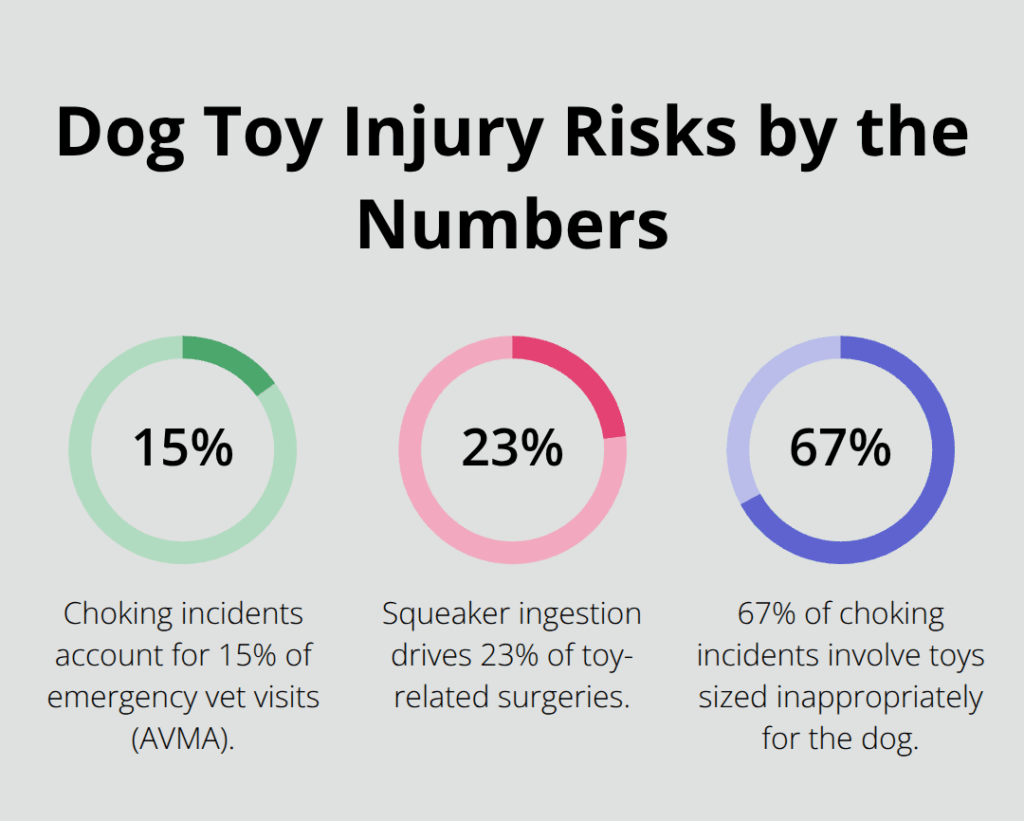 dog toy safety infographic 1 1762726059