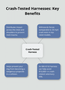 dog vehicle safety infographic 1 1762985302