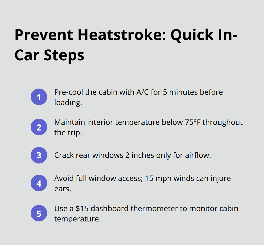 Compact list of steps to keep your dog safe from heat in the car - dog vehicle safety