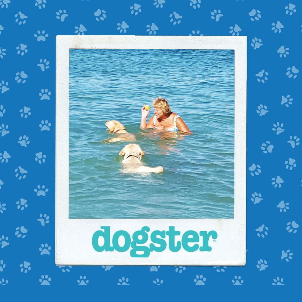 dogster photo contest action 27 11 25