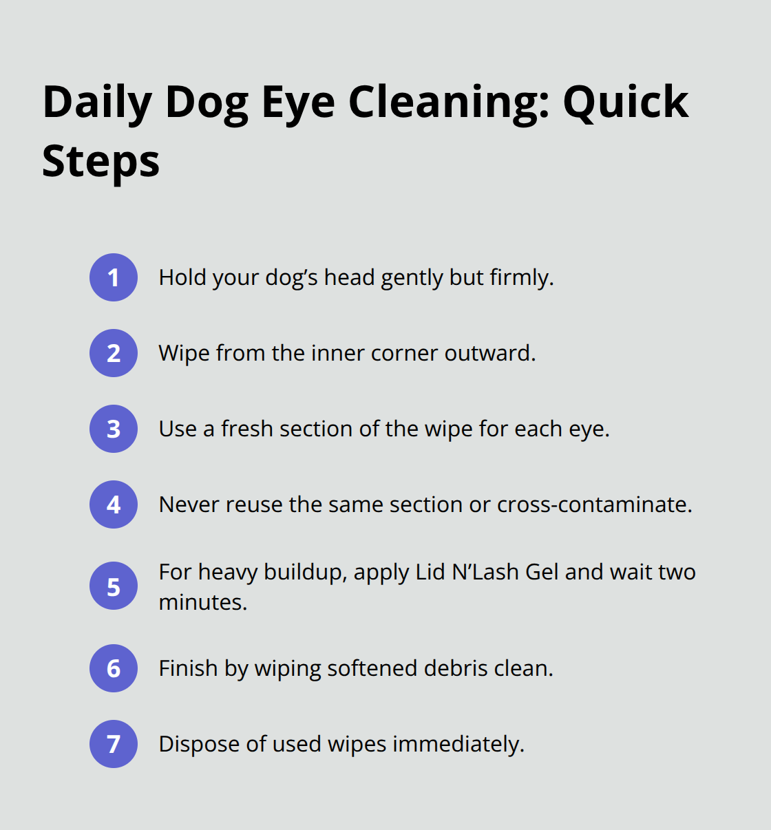 Compact checklist of safe daily steps to clean your dog's eyes