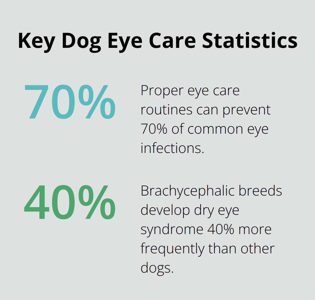 Percentage statistics highlighting preventable infections and breed risk - eye care dog