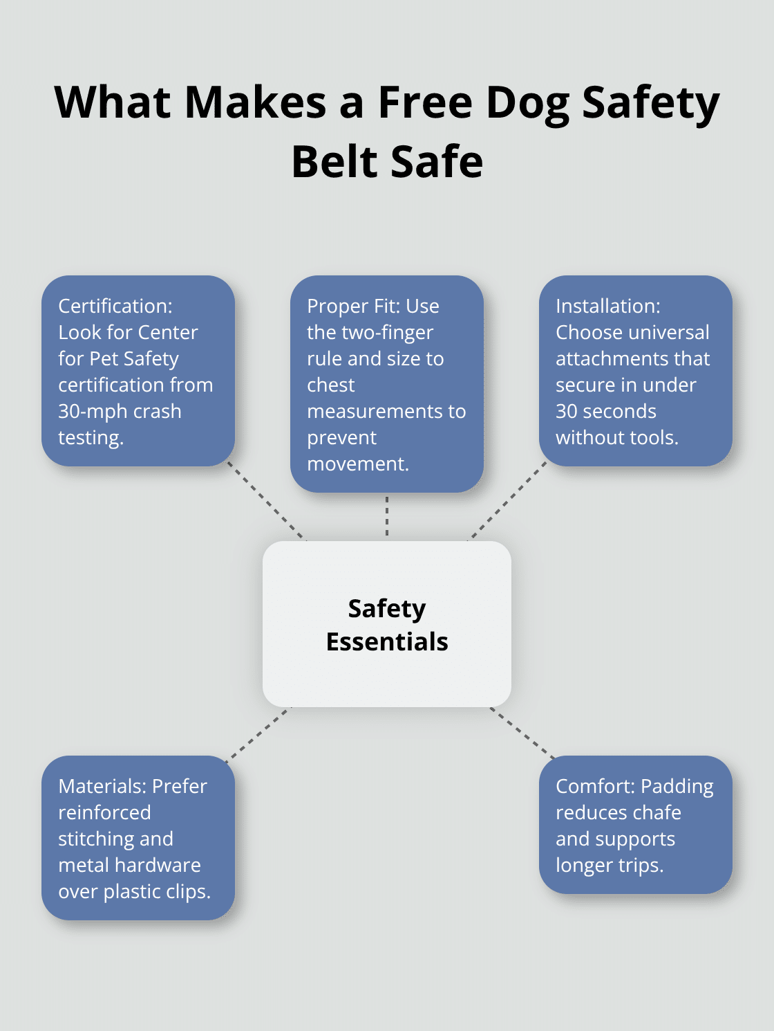 Core safety criteria for choosing a dog car restraint - free dog safety belt