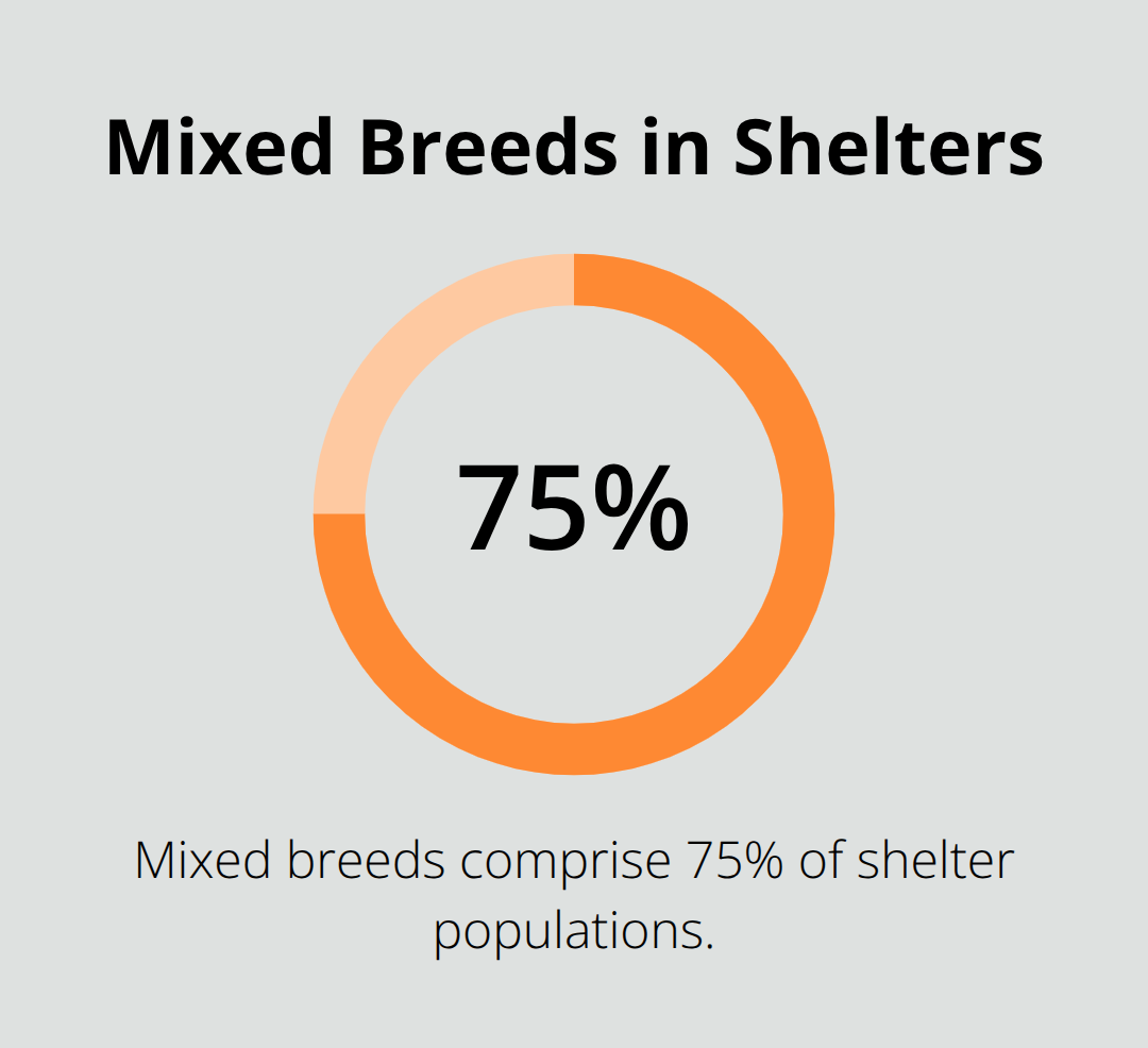 Chart showing the share of mixed-breed dogs in U.S. shelters - husky mix puppy adoption
