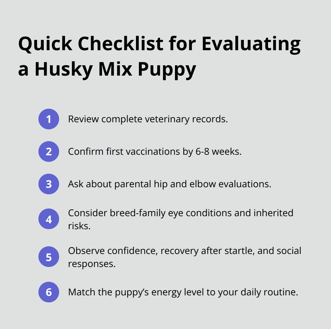 Compact checklist of key pre-adoption evaluation steps - husky mix puppy adoption