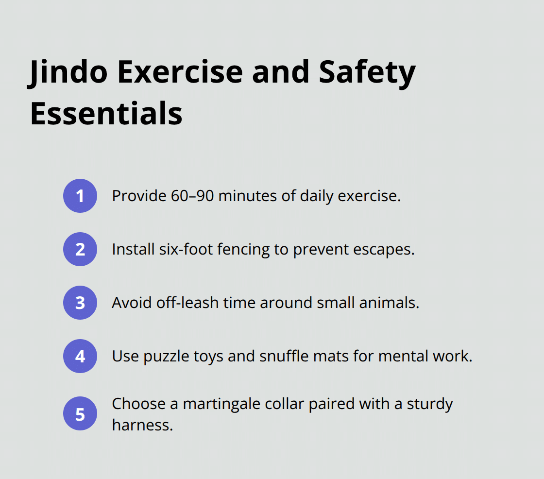 Key exercise, fencing, and safety guidelines for Korean Jindo dogs in the U.S.