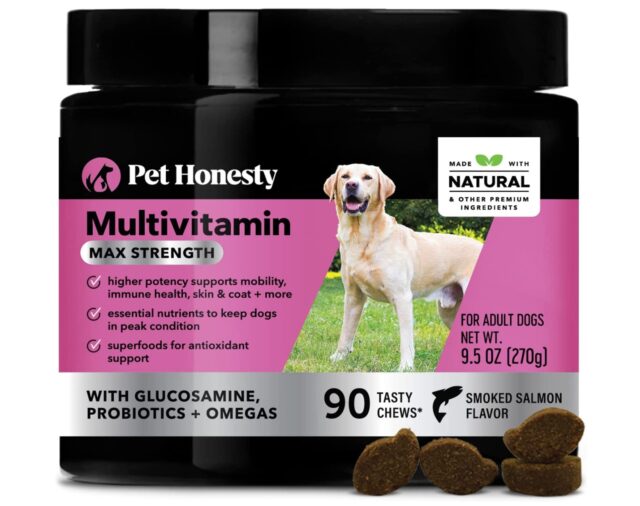 best immunity supplements for dogs