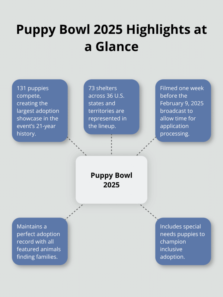 puppy bowl 2025 adoption infographic 1 1764454020