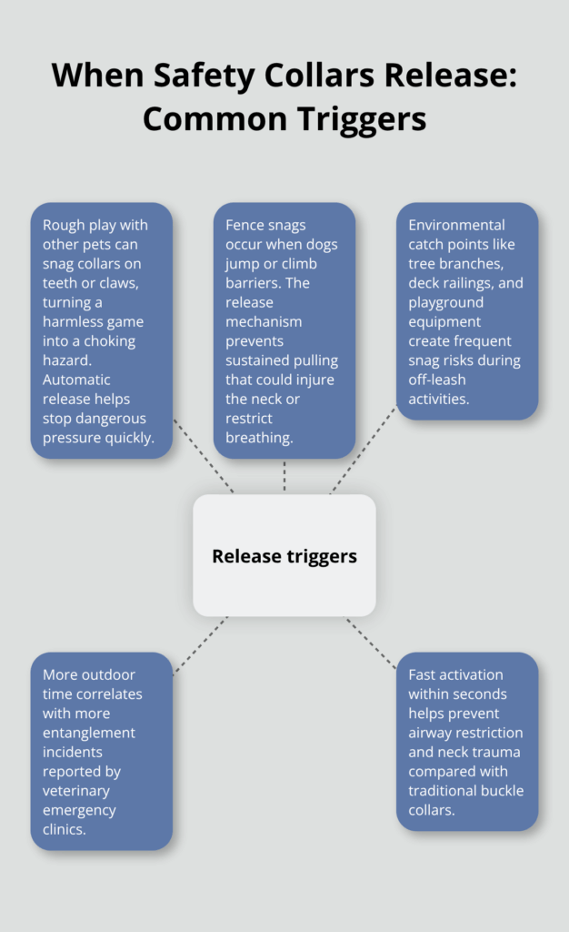 safety release dog collar infographic 1 1763676518