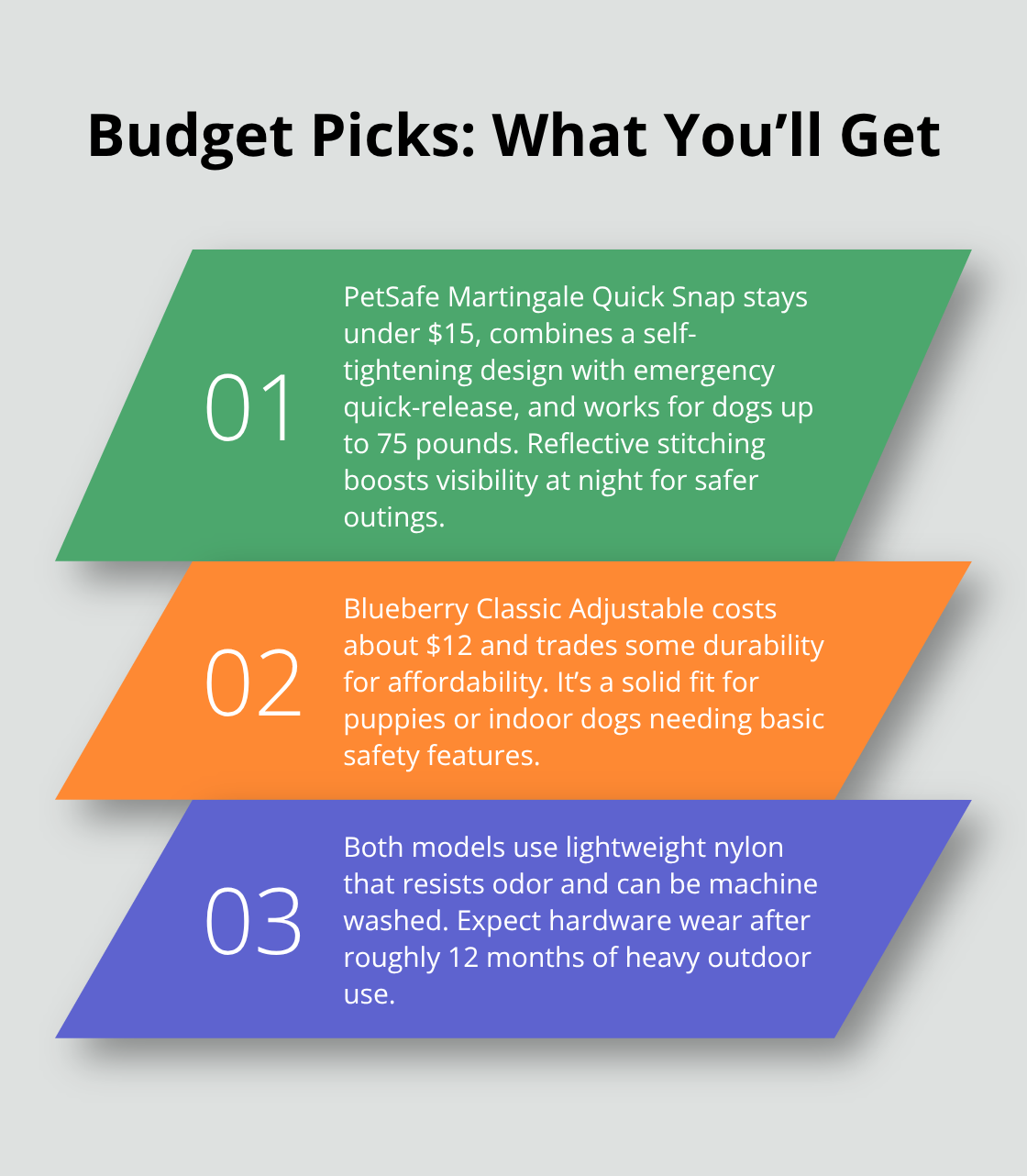 Three key takeaways comparing budget-friendly safety release dog collars.