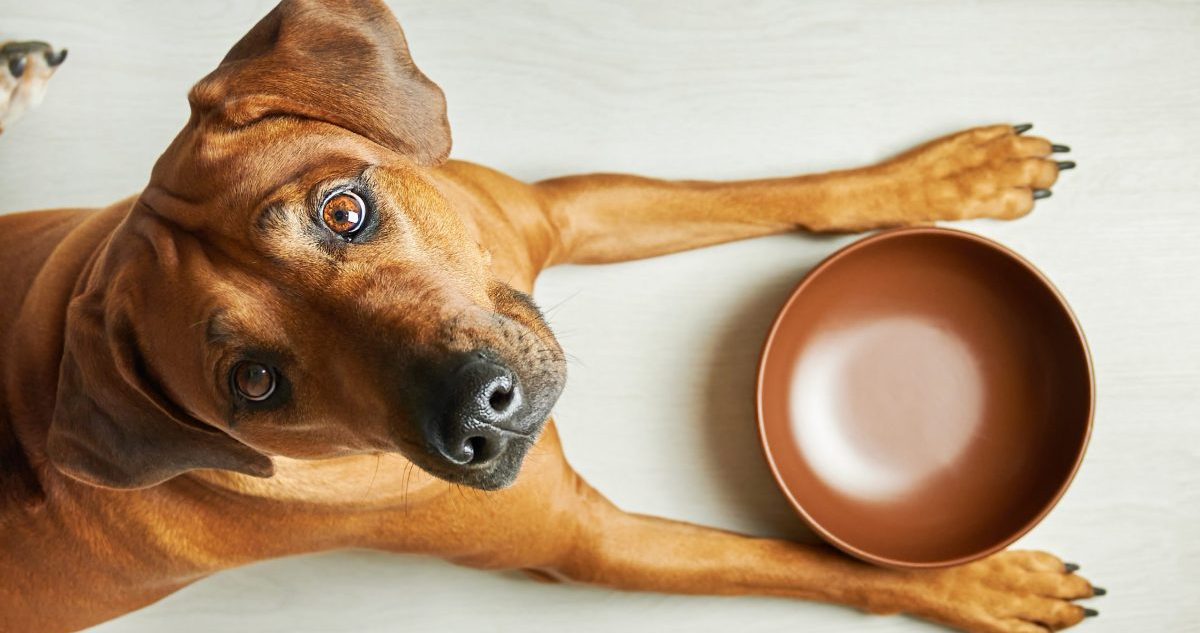 shutterstock 1921117940 1 scaled e1692646682810