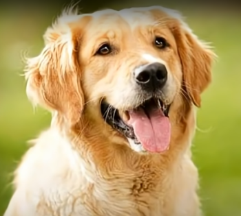 2025 12 22 21 57 05 350x315 1