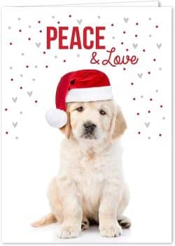 Canopy Street Labrador Love Holiday Card Pack 