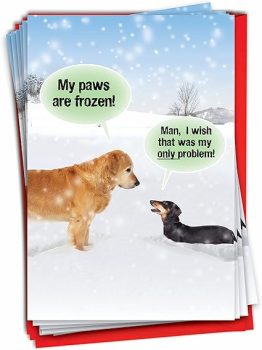 NobleWorks Pack of 12 Funny Christmas Greeting Cards with Envelopes