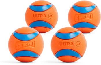 Upgrade Your Dog’s Essentials & Start the Year Clean, Cozy, and Happy 25 Chuckit! Ultra Ball Dog Toy