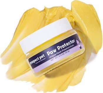 Paw Protector - Dog Paw Balm