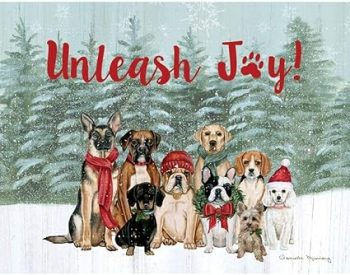 LANG Unleash Joy Boxed Christmas Cards