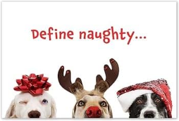Allynn's 20 Funny Naughty Dog Christmas Cards