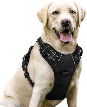 rabbitgoo Dog Harness No Pull