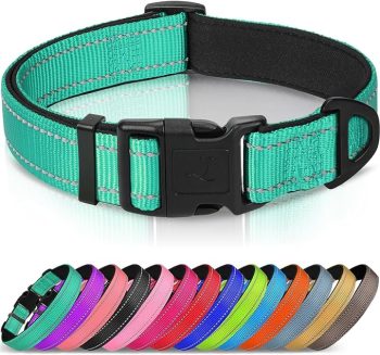 Upgrade Your Dog’s Essentials & Start the Year Clean, Cozy, and Happy 27 Joytale Reflective Dog Collar