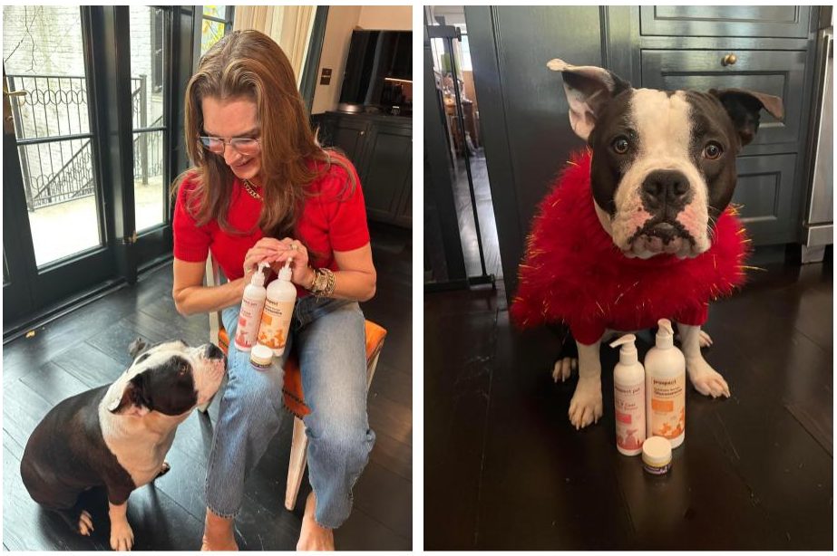 Getting Real About Dog Healthcare With Brooke Shields 4 Brooke with her gorgeous spokesmodel, Tuzi