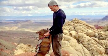 DogAndDadSPStoryFIN 350x183 1