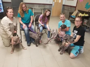5 Bald, Sick Puppies Show Pure Joy as They Shower Their Rescuers With Kisses 7 DogKissesRescueStory4 350x263 1