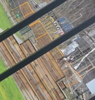 DogLeftBehindStory3 331x350 1