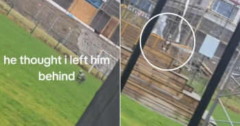 DogLeftBehindStoryFIN 350x184 1