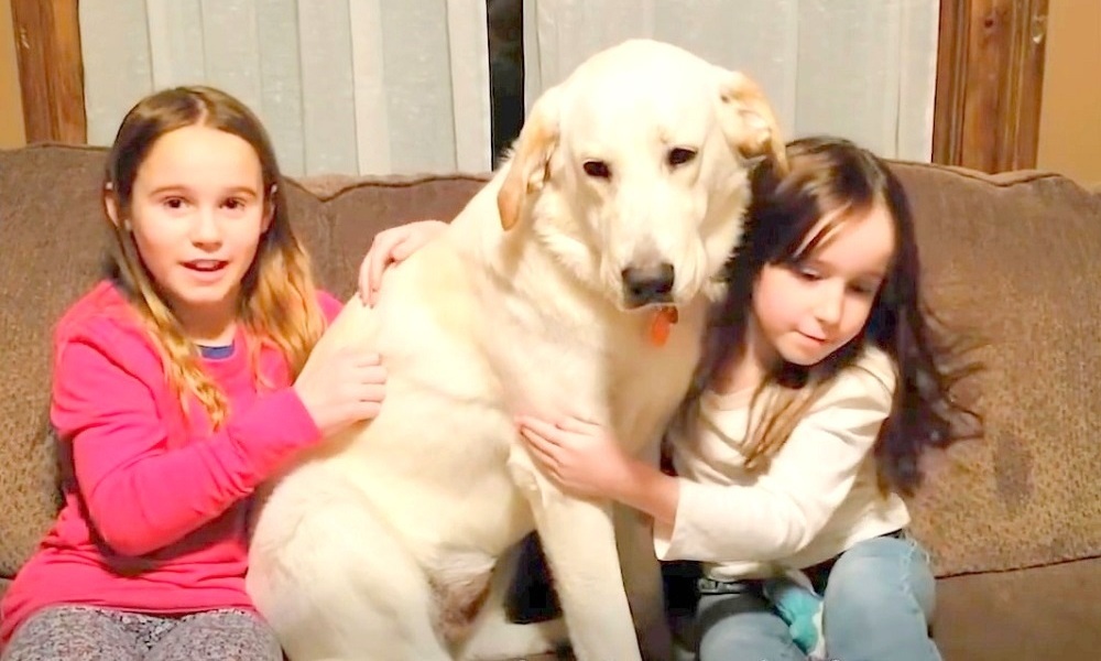 DogRescueSistersStory3