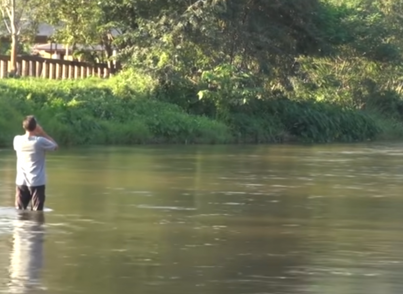 Friends Arrived Story 1400x1021 1