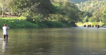 Friends Arrived featured image 350x184 1