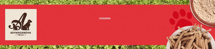 KSM 66 Inline Banner 5