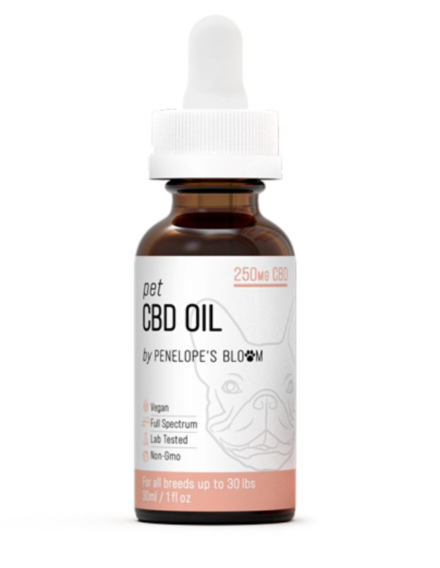 Penelope's Blood Hemp Oil for Dogs