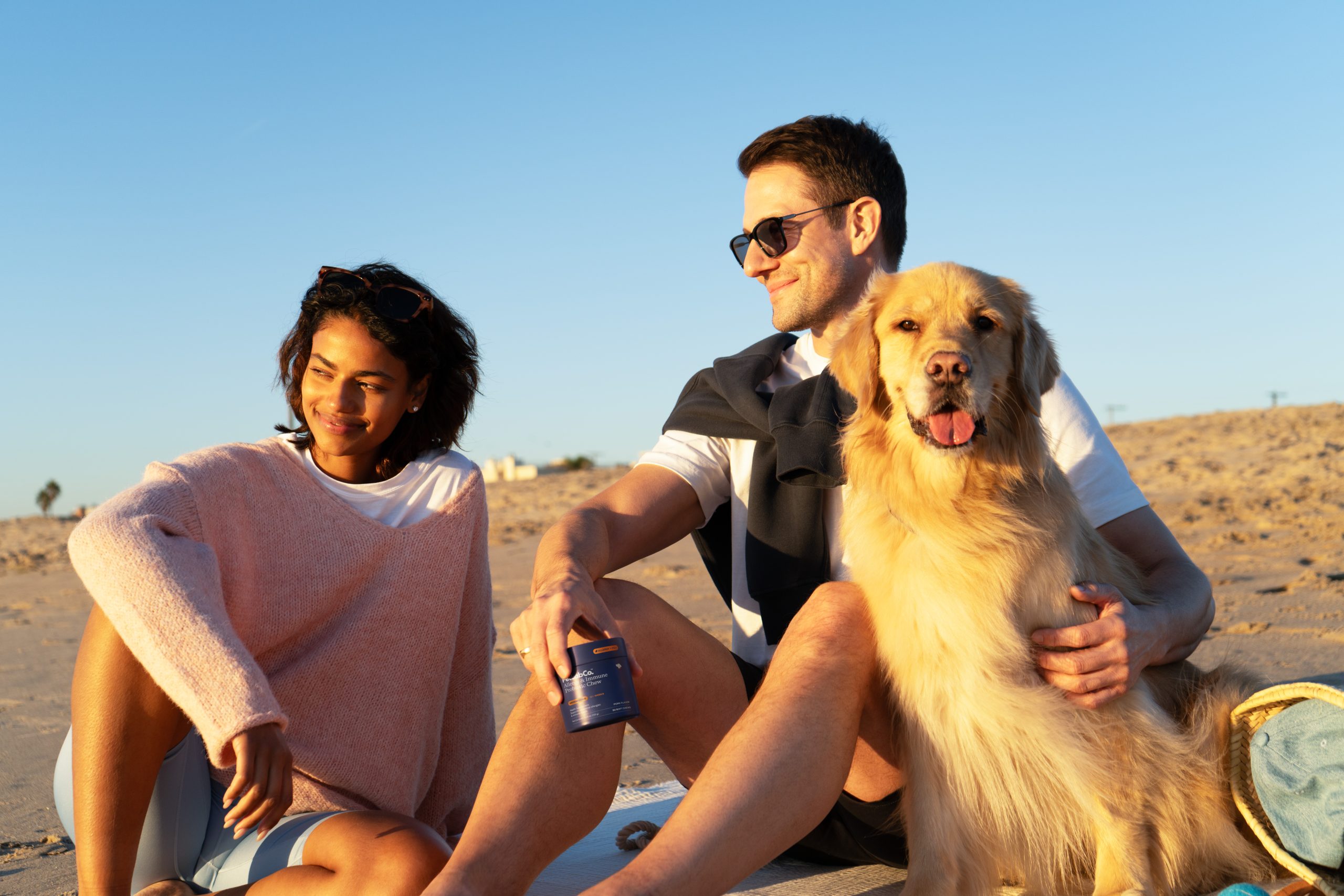 Petlab SP 3 Dec 30 - image two