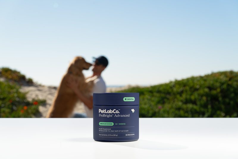 Dental Powders for Dogs: A Simple Way to Clean Teeth and Help Freshen Breath 3 Petlab SP 4 Dec 30 - image one