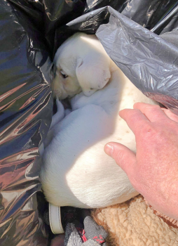 Screenshot 2024 04 01 at 9.42.10 AM 254x350 1