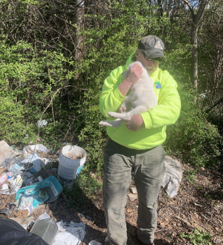 Screenshot 2024 04 01 at 9.43.43 AM 318x350 1