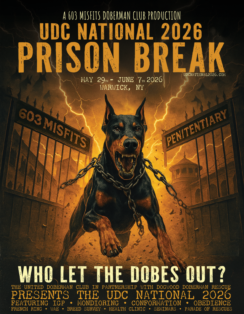 United Doberman Club National Flyer 778x1000 1