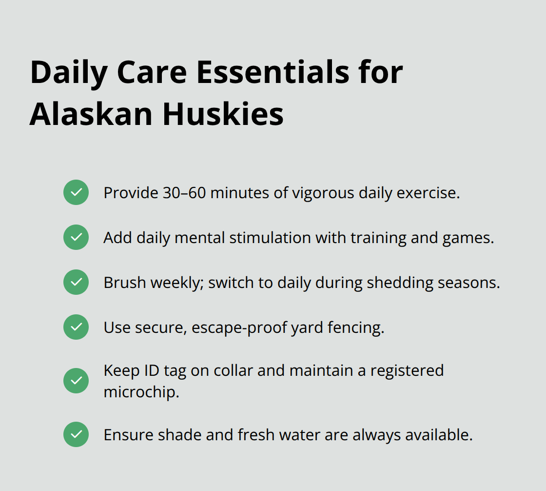 Checklist of daily needs for Alaskan Huskies, including exercise, mental work, grooming, safety, and hydration. - alaskan husky puppy adoption
