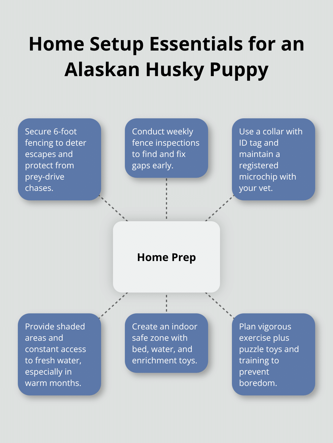 Hub-and-spoke diagram showing core home preparation tasks for an Alaskan Husky puppy. - alaskan husky puppy adoption