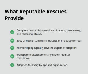 black pug puppy for adoption infographic 1 1767132700